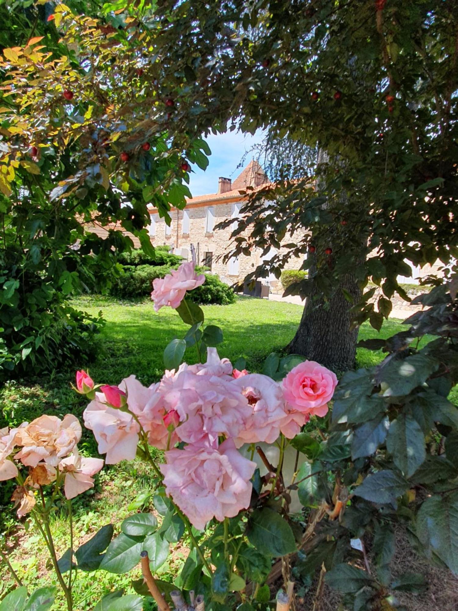 Logis Hotel Le Prince Noir Sérignac-sur-Garonne エクステリア 写真